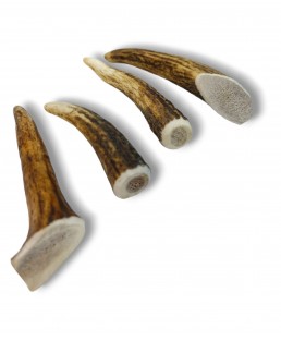 Deer antler dog chew