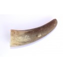 Cattle horn dog chew. Size S