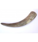 Cattle horn dog chew. Size L